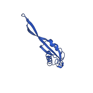 29822_8g7s_U_v1-1
Structure of the Escherichia coli 70S ribosome in complex with P-site tRNAIle(LAU) bound to the cognate AUA codon (Structure IV)