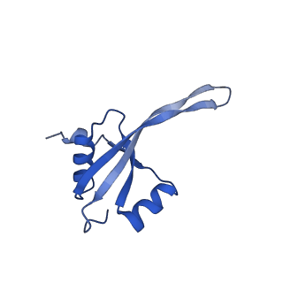 29822_8g7s_V_v1-1
Structure of the Escherichia coli 70S ribosome in complex with P-site tRNAIle(LAU) bound to the cognate AUA codon (Structure IV)