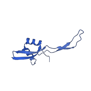 29822_8g7s_Z_v1-1
Structure of the Escherichia coli 70S ribosome in complex with P-site tRNAIle(LAU) bound to the cognate AUA codon (Structure IV)