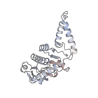 29822_8g7s_b_v1-1
Structure of the Escherichia coli 70S ribosome in complex with P-site tRNAIle(LAU) bound to the cognate AUA codon (Structure IV)