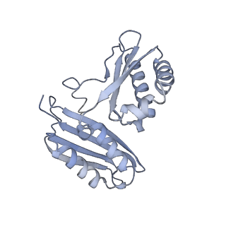 29822_8g7s_c_v1-1
Structure of the Escherichia coli 70S ribosome in complex with P-site tRNAIle(LAU) bound to the cognate AUA codon (Structure IV)