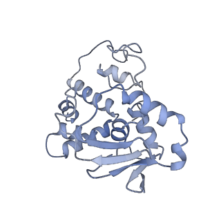 29822_8g7s_d_v1-1
Structure of the Escherichia coli 70S ribosome in complex with P-site tRNAIle(LAU) bound to the cognate AUA codon (Structure IV)