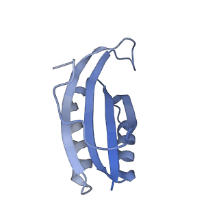 29822_8g7s_f_v1-1
Structure of the Escherichia coli 70S ribosome in complex with P-site tRNAIle(LAU) bound to the cognate AUA codon (Structure IV)