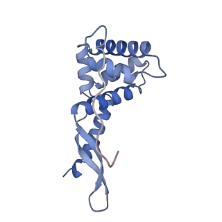 29822_8g7s_g_v1-1
Structure of the Escherichia coli 70S ribosome in complex with P-site tRNAIle(LAU) bound to the cognate AUA codon (Structure IV)