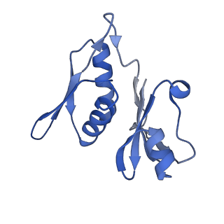 29822_8g7s_h_v1-1
Structure of the Escherichia coli 70S ribosome in complex with P-site tRNAIle(LAU) bound to the cognate AUA codon (Structure IV)