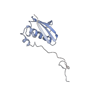 29822_8g7s_i_v1-1
Structure of the Escherichia coli 70S ribosome in complex with P-site tRNAIle(LAU) bound to the cognate AUA codon (Structure IV)