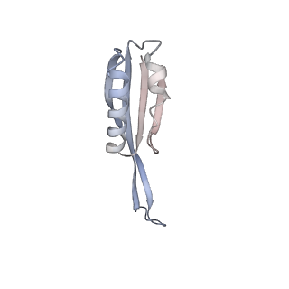 29822_8g7s_j_v1-1
Structure of the Escherichia coli 70S ribosome in complex with P-site tRNAIle(LAU) bound to the cognate AUA codon (Structure IV)