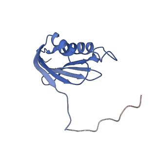 29822_8g7s_k_v1-1
Structure of the Escherichia coli 70S ribosome in complex with P-site tRNAIle(LAU) bound to the cognate AUA codon (Structure IV)