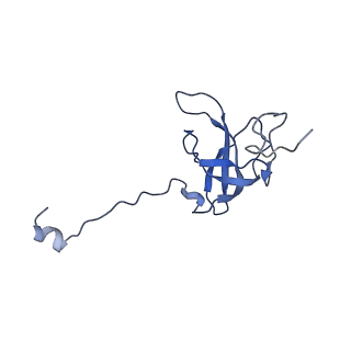29822_8g7s_l_v1-1
Structure of the Escherichia coli 70S ribosome in complex with P-site tRNAIle(LAU) bound to the cognate AUA codon (Structure IV)