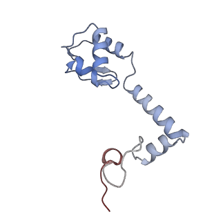 29822_8g7s_m_v1-1
Structure of the Escherichia coli 70S ribosome in complex with P-site tRNAIle(LAU) bound to the cognate AUA codon (Structure IV)