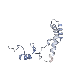 29822_8g7s_n_v1-1
Structure of the Escherichia coli 70S ribosome in complex with P-site tRNAIle(LAU) bound to the cognate AUA codon (Structure IV)