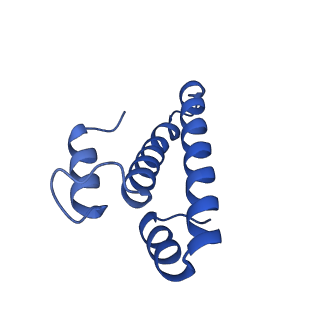 29822_8g7s_o_v1-1
Structure of the Escherichia coli 70S ribosome in complex with P-site tRNAIle(LAU) bound to the cognate AUA codon (Structure IV)