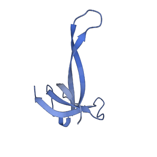 29822_8g7s_q_v1-1
Structure of the Escherichia coli 70S ribosome in complex with P-site tRNAIle(LAU) bound to the cognate AUA codon (Structure IV)