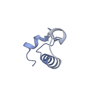 29822_8g7s_r_v1-1
Structure of the Escherichia coli 70S ribosome in complex with P-site tRNAIle(LAU) bound to the cognate AUA codon (Structure IV)