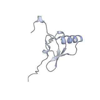 29822_8g7s_s_v1-1
Structure of the Escherichia coli 70S ribosome in complex with P-site tRNAIle(LAU) bound to the cognate AUA codon (Structure IV)