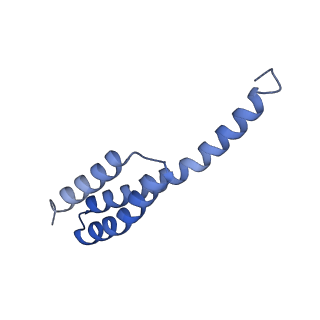 29822_8g7s_t_v1-1
Structure of the Escherichia coli 70S ribosome in complex with P-site tRNAIle(LAU) bound to the cognate AUA codon (Structure IV)