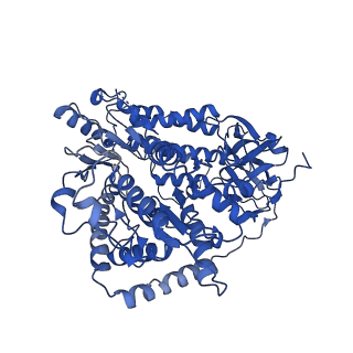 29823_8g7t_A_v1-0
Cryo-EM structure of RNP end