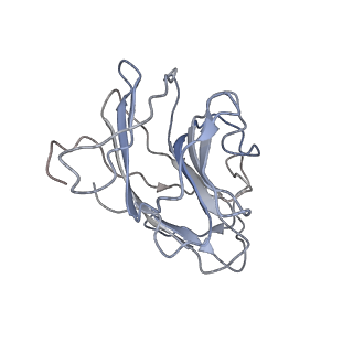 29823_8g7t_B_v1-0
Cryo-EM structure of RNP end