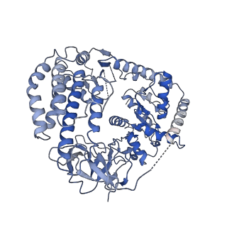 29823_8g7t_C_v1-0
Cryo-EM structure of RNP end
