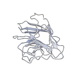 29823_8g7t_D_v1-0
Cryo-EM structure of RNP end