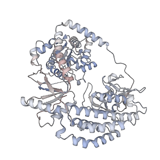 29824_8g7u_A_v1-0
Cryo-EM structure of RNP end 2