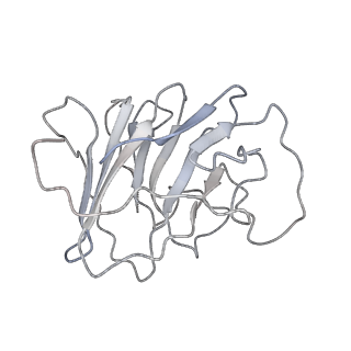 29824_8g7u_B_v1-0
Cryo-EM structure of RNP end 2