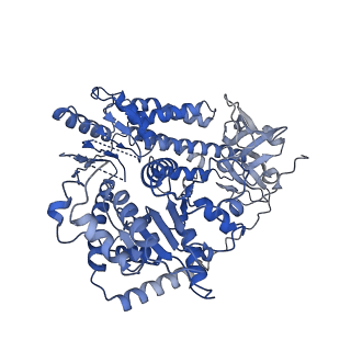 29824_8g7u_C_v1-0
Cryo-EM structure of RNP end 2