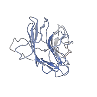 29824_8g7u_D_v1-0
Cryo-EM structure of RNP end 2
