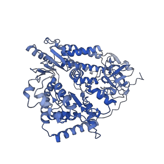 29825_8g7v_A_v1-0
Cryo-EM structure of RNP inter