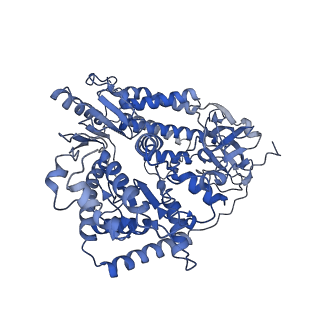 29825_8g7v_A_v1-1
Cryo-EM structure of RNP inter