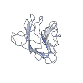 29825_8g7v_B_v1-0
Cryo-EM structure of RNP inter