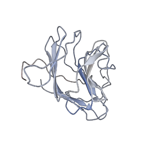 29825_8g7v_B_v1-1
Cryo-EM structure of RNP inter