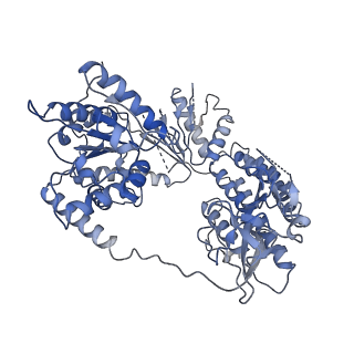 29825_8g7v_C_v1-1
Cryo-EM structure of RNP inter