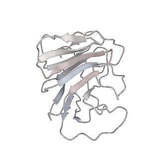 29825_8g7v_D_v1-1
Cryo-EM structure of RNP inter