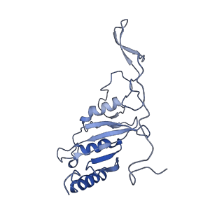 4356_6g72_C_v1-4
Mouse mitochondrial complex I in the deactive state