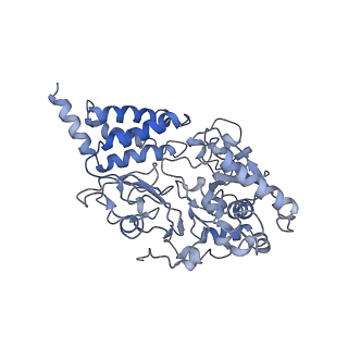 4356_6g72_F_v1-4
Mouse mitochondrial complex I in the deactive state