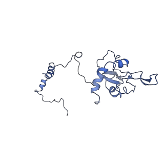 4356_6g72_I_v1-4
Mouse mitochondrial complex I in the deactive state