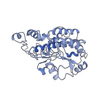 4356_6g72_O_v1-4
Mouse mitochondrial complex I in the deactive state