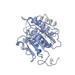 4356_6g72_P_v1-4
Mouse mitochondrial complex I in the deactive state