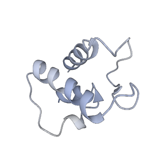 4356_6g72_T_v1-4
Mouse mitochondrial complex I in the deactive state