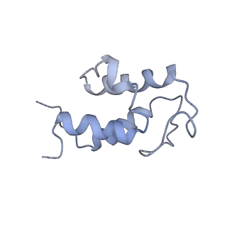 4356_6g72_U_v1-4
Mouse mitochondrial complex I in the deactive state