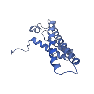 4356_6g72_Y_v1-4
Mouse mitochondrial complex I in the deactive state