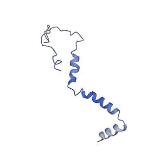 4356_6g72_b_v1-4
Mouse mitochondrial complex I in the deactive state