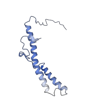 4356_6g72_d_v1-4
Mouse mitochondrial complex I in the deactive state