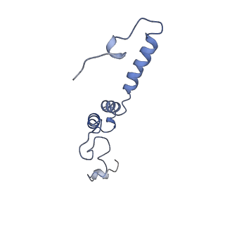 4356_6g72_e_v1-4
Mouse mitochondrial complex I in the deactive state