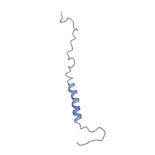 4356_6g72_j_v1-4
Mouse mitochondrial complex I in the deactive state