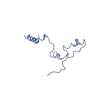 4356_6g72_k_v1-4
Mouse mitochondrial complex I in the deactive state