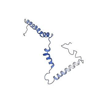 4356_6g72_m_v1-4
Mouse mitochondrial complex I in the deactive state