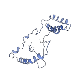 4356_6g72_n_v1-4
Mouse mitochondrial complex I in the deactive state