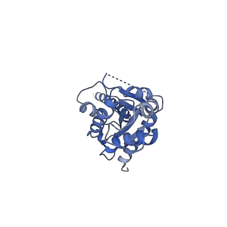4358_6g79_A_v1-1
Coupling specificity of heterotrimeric Go to the serotonin 5-HT1B receptor